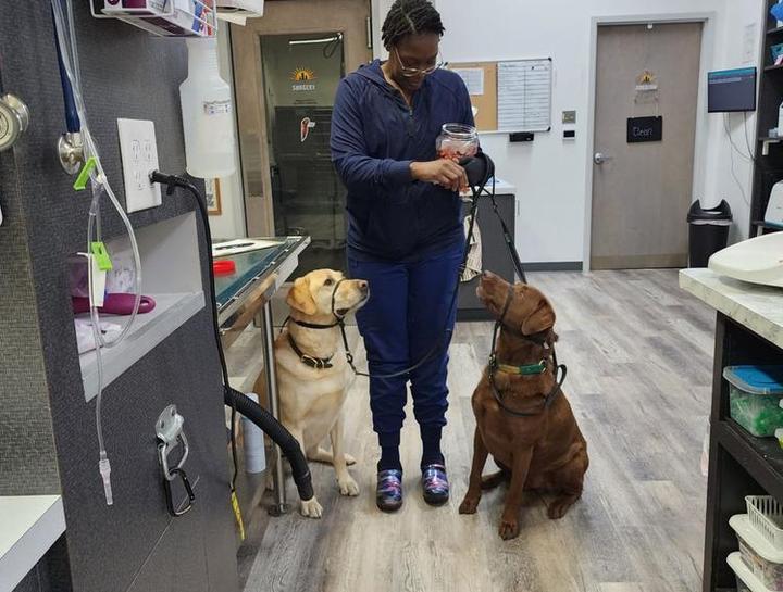 $City Animal Nutritionists